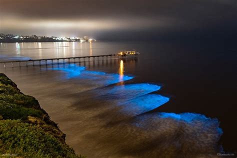 Bioluminescence has rolled back into San Diego. Here's what to know